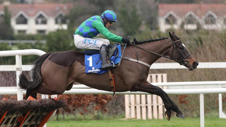 Supreme Hurdle favourite Appreciate It 